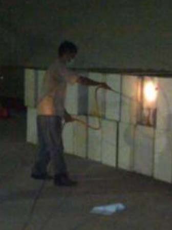 Termite 3